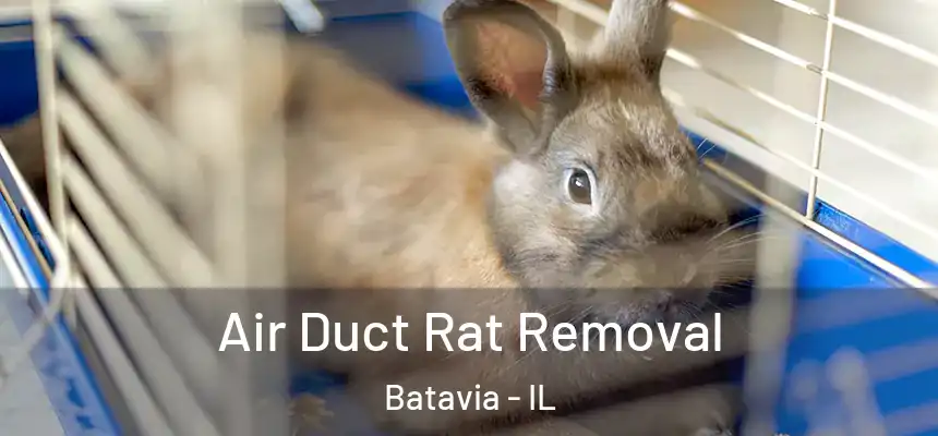  Air Duct Rat Removal Batavia - IL