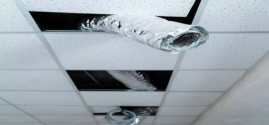 Our Air Duct Pet Hair Removal Services in Batavia, IL