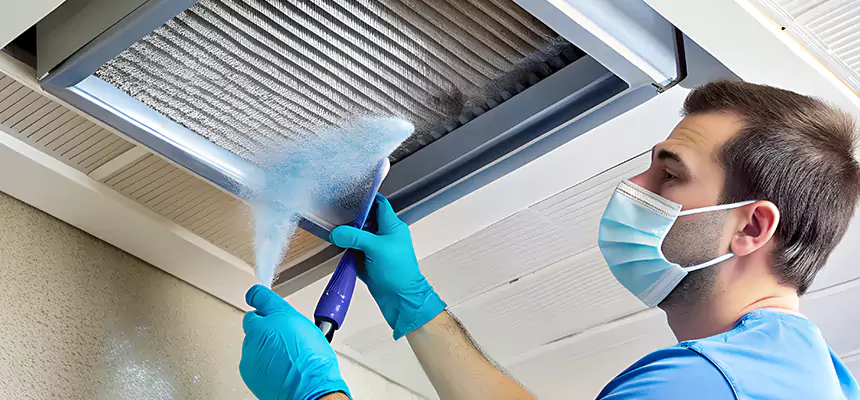 Proactive Dryer Vent & Auxiliary Duct Pollen Cleanup in Batavia, IL