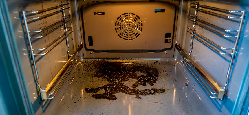 Our Dryer Vent Mold Cleaning Services in Batavia, IL