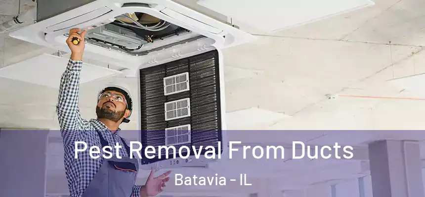 Pest Removal From Ducts Batavia - IL
