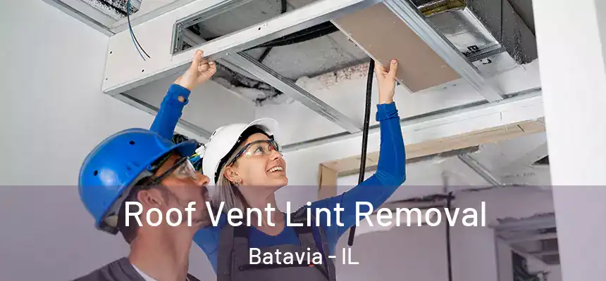 Roof Vent Lint Removal Batavia - IL