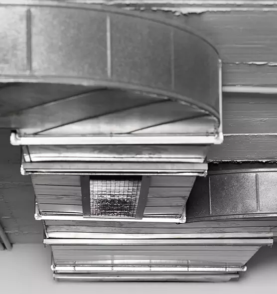 Professional Air Duct Pest Removal in Batavia, IL