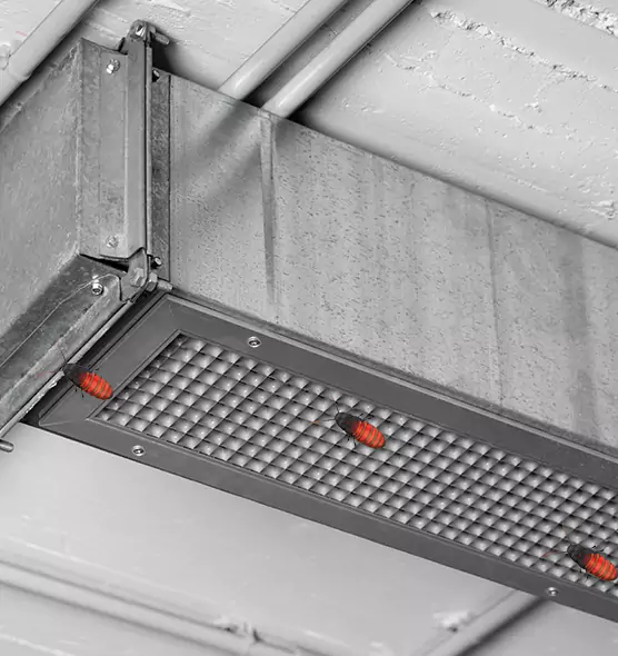 Affordable Insect Removal from Air Ducts in Batavia, IL